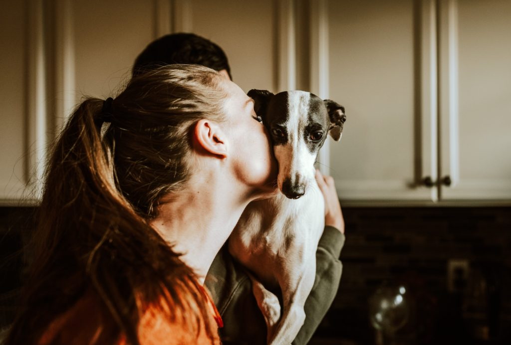 a person holding a dog